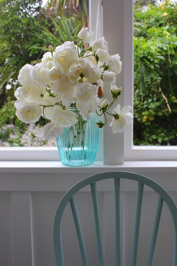 Browns Boutique Bed And Breakfast Whanganui Exteriér fotografie