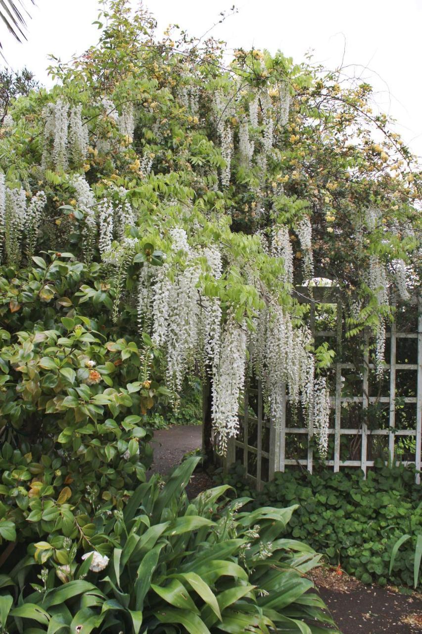 Browns Boutique Bed And Breakfast Whanganui Exteriér fotografie