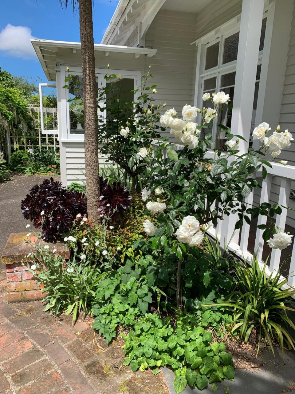 Browns Boutique Bed And Breakfast Whanganui Exteriér fotografie
